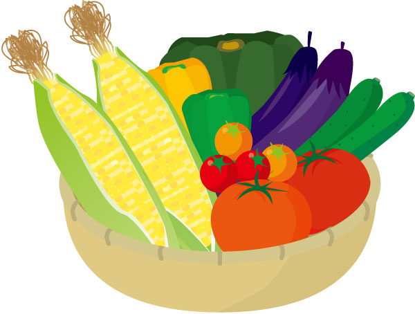 野菜の収穫体験